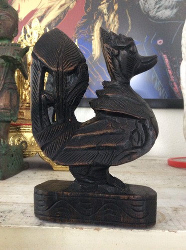 Burmesischer heiliger vogel - burmesischer,